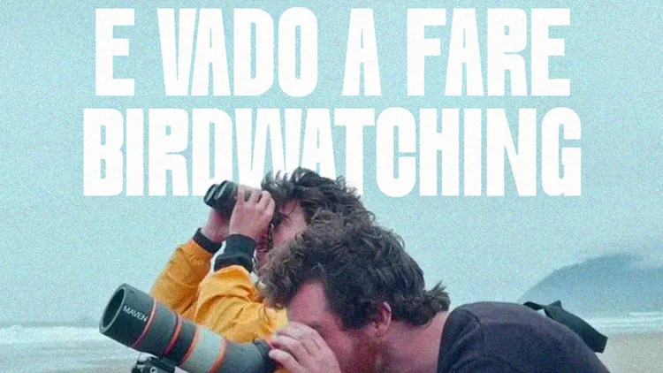 Immagine per 411 - Mollo tutto e vado a fare birdwatching