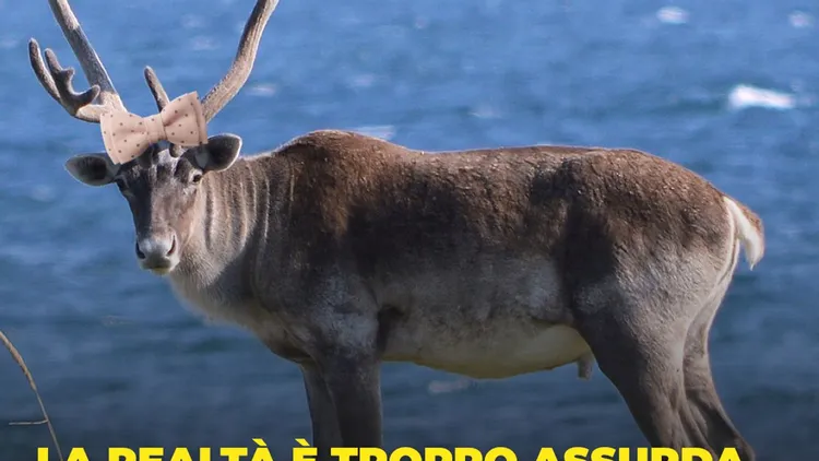 Immagine per 284 - La realtà è troppo assurda per essere vera (LINK)