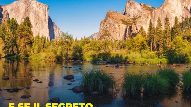 Immagine per 262 - E se il segreto fosse la meraviglia? (DAILY)