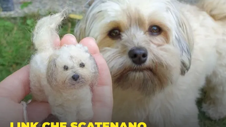 Immagine per 257 - Link che scatenano risate e felicità (DAILY)