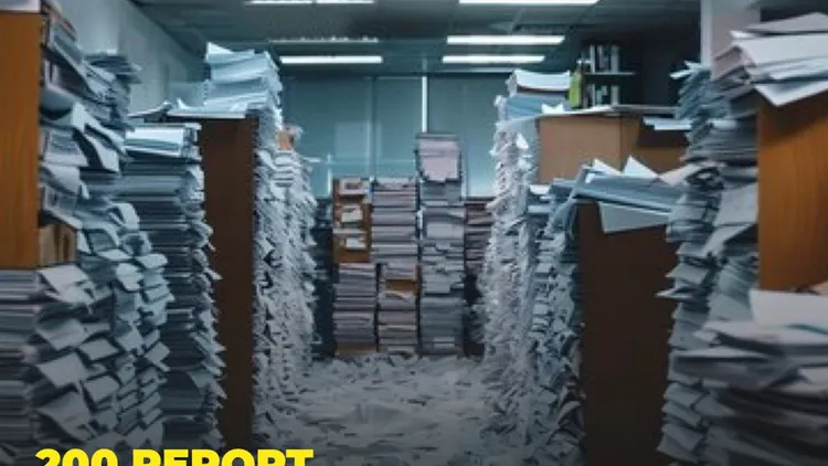 Immagine per 343 - 200 report per il 2025 (LINK)
