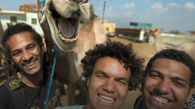 Immagine per 199 - Ruba queste 7 idee (DAILY)